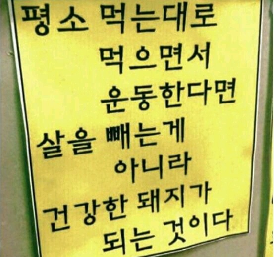 오늘의 명언