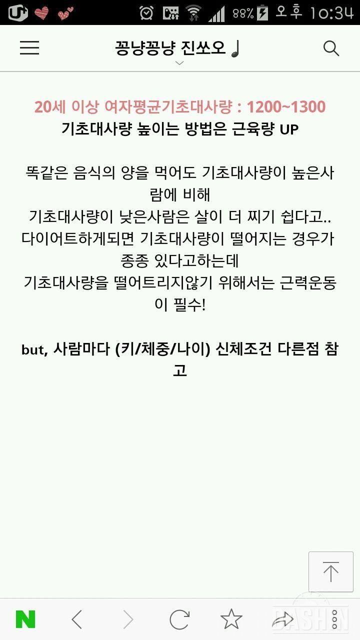 기초대사량^