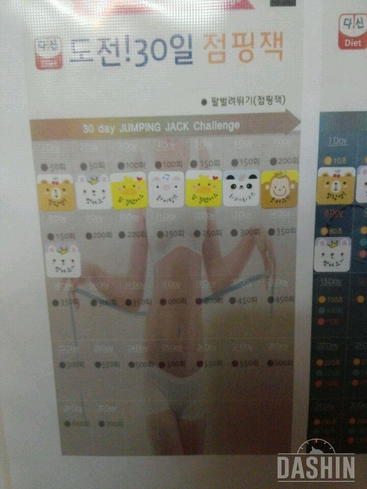 점핑잭 8일차