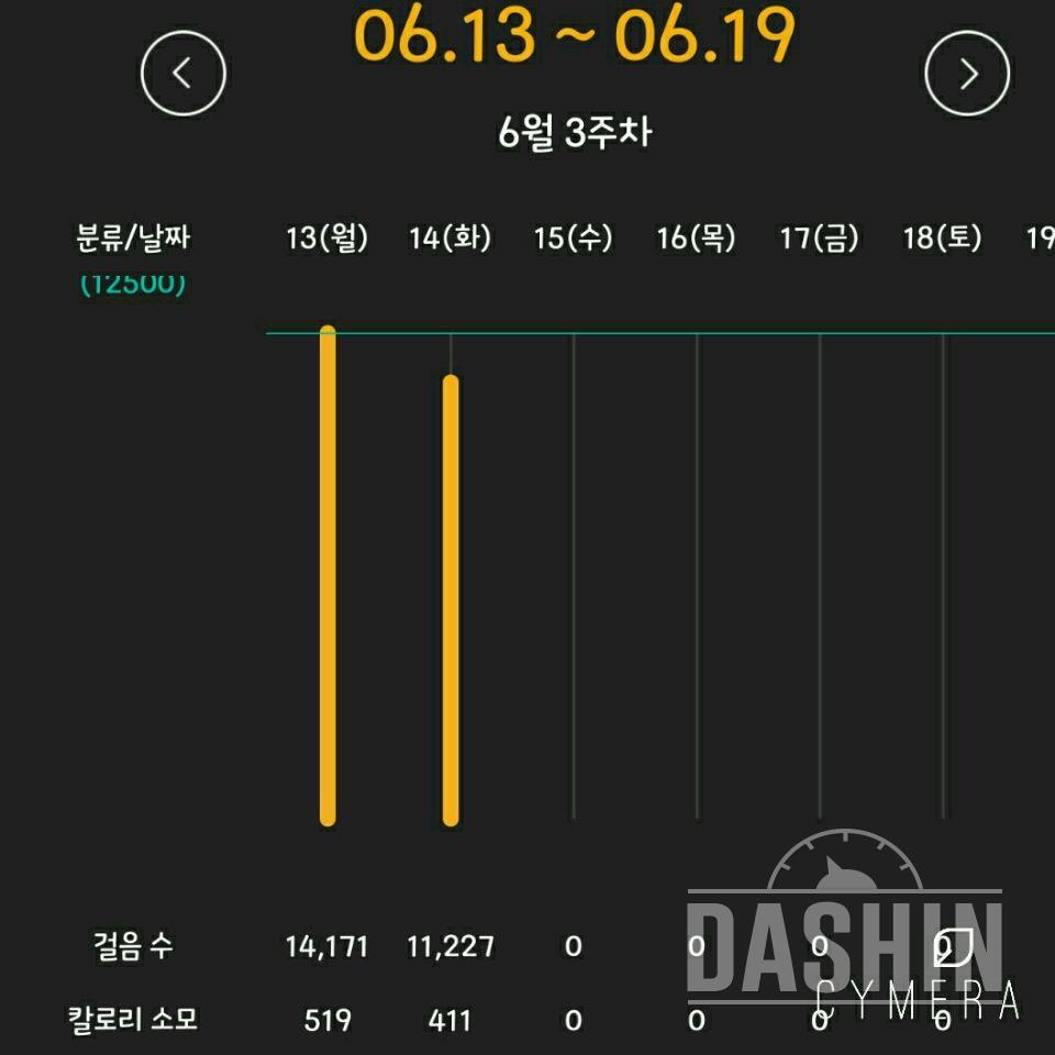 30일 만보 걷기 15일차 성공!