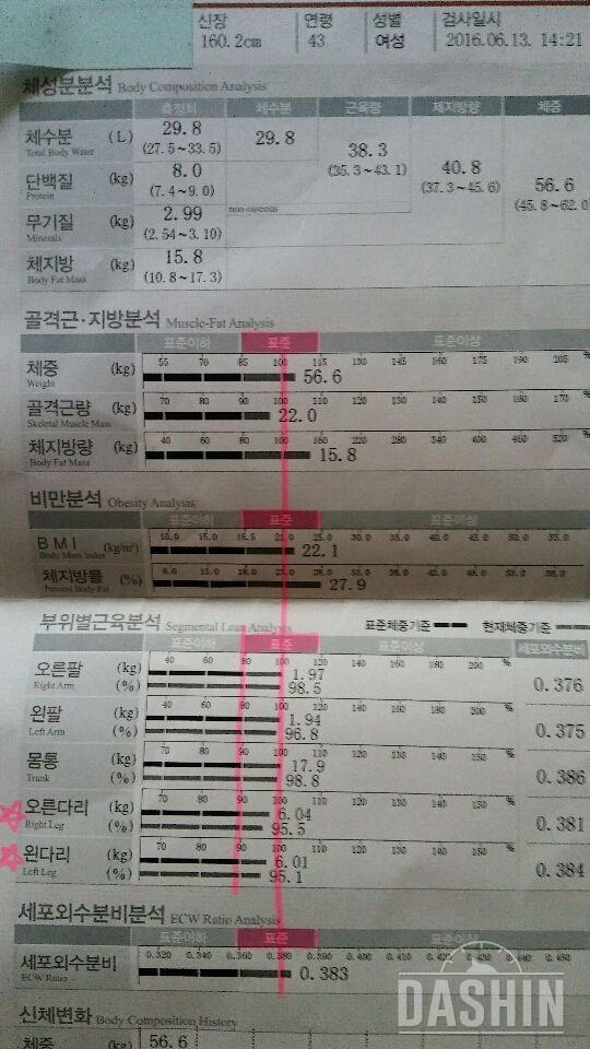 도전!!인바디,전신사진