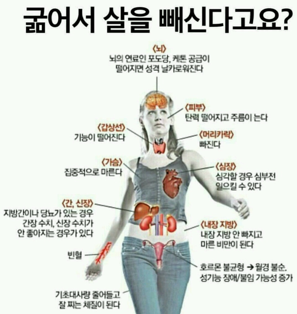 ㅠ 굶는 건 못해요