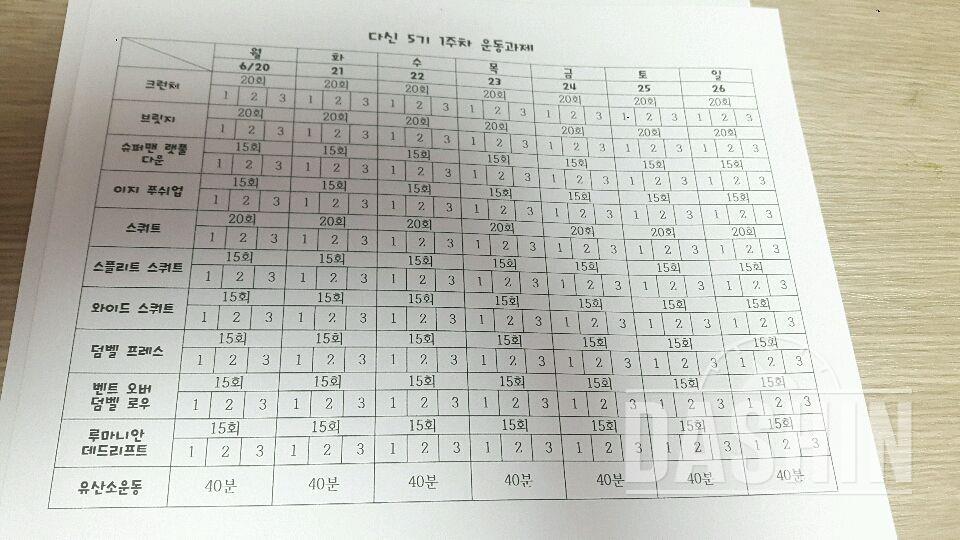 식단표대로 점심저녁... 운동일지도만들어봤어용