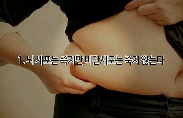 다이어트 명언 :-)