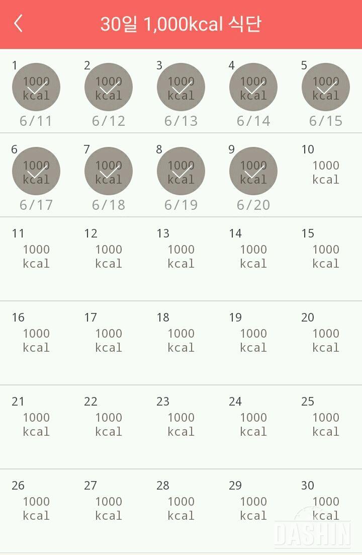 30일 1,000kcal 식단 9일차 성공!