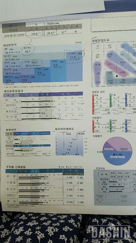 인바디그리고사진