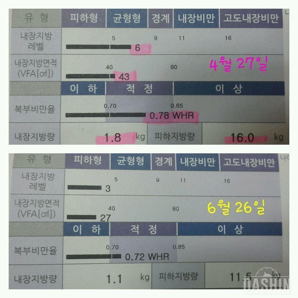 근육량41kg유지(-5.5kg)&만보후기(2nd)