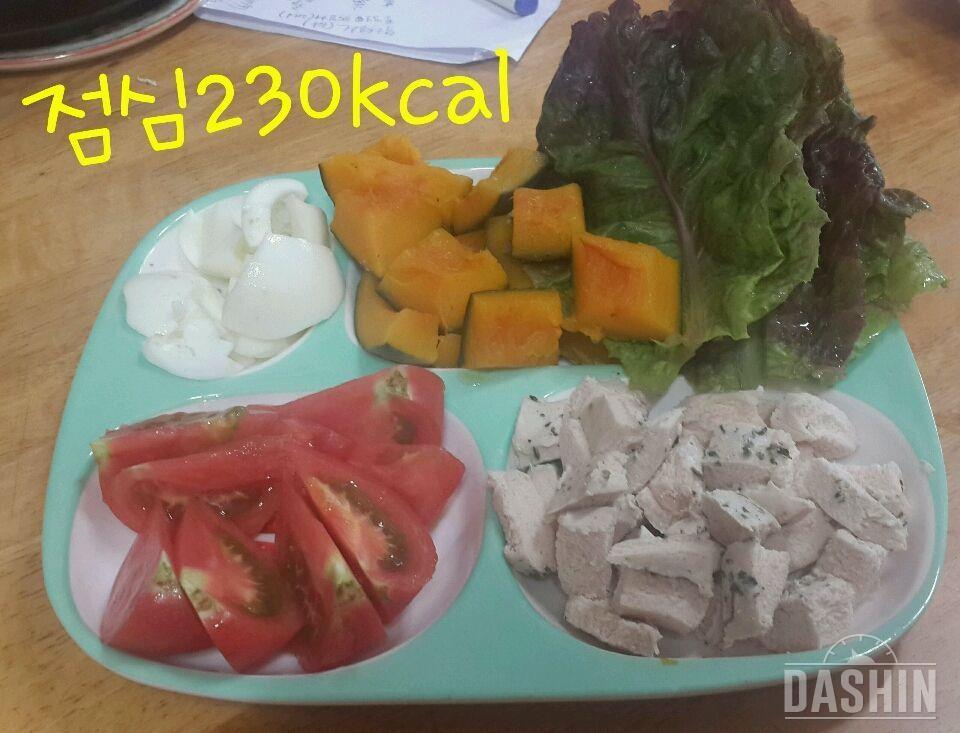 1155kcal 하루식단(7/1)