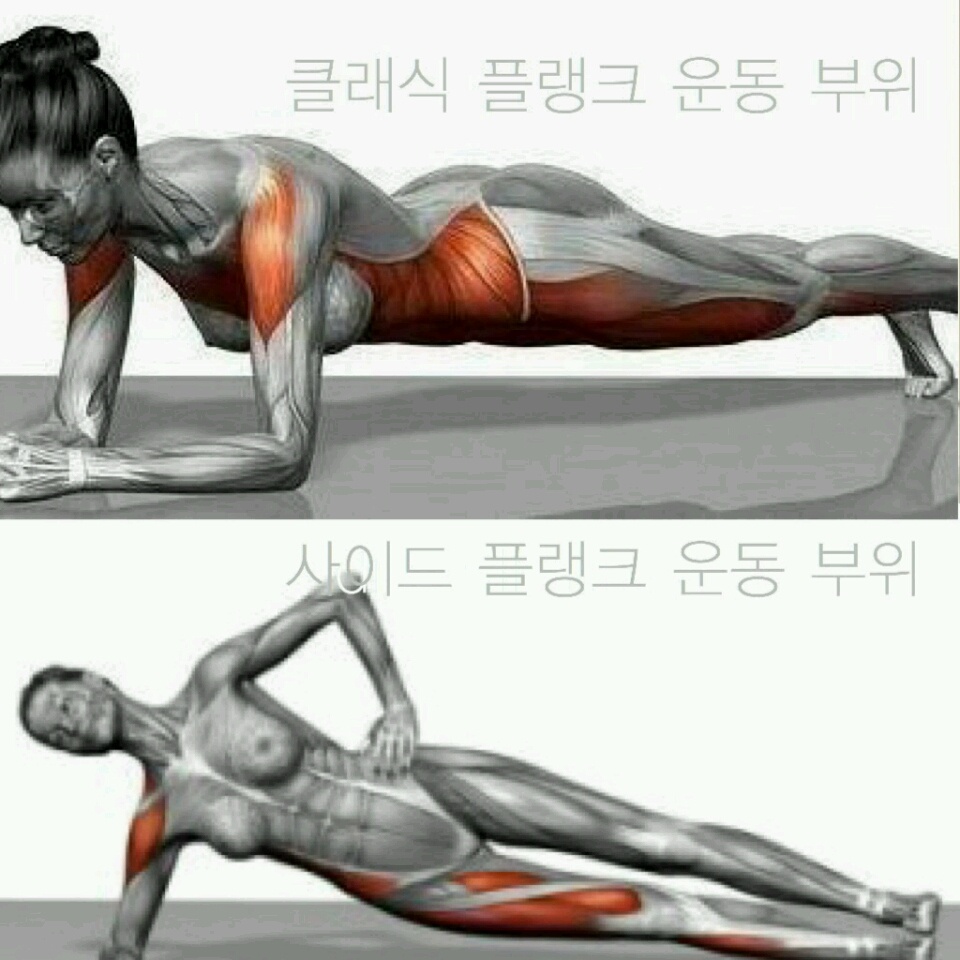 코어