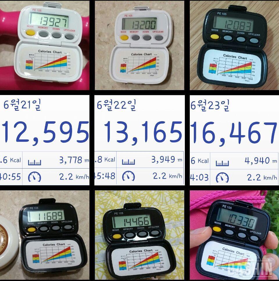 💙(만보,플랭크,점핑잭)모두완료💙후기💬