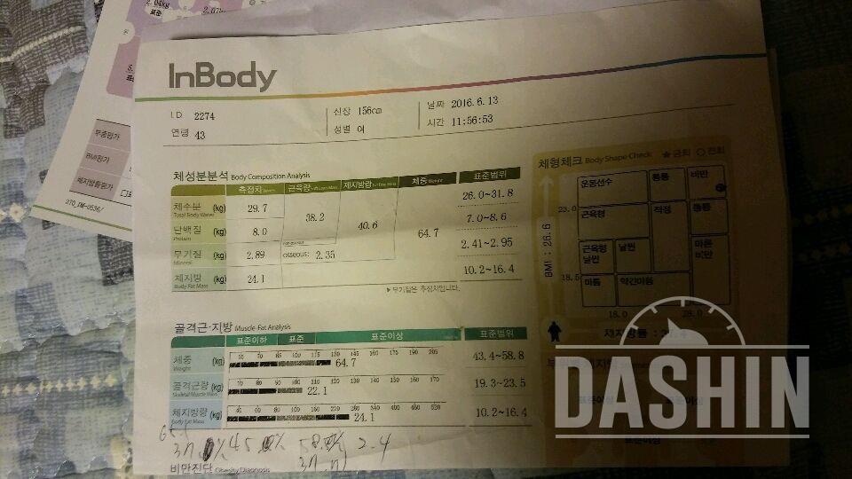 ★세븐일렉 체지방 체중계 사용 후기 15일차