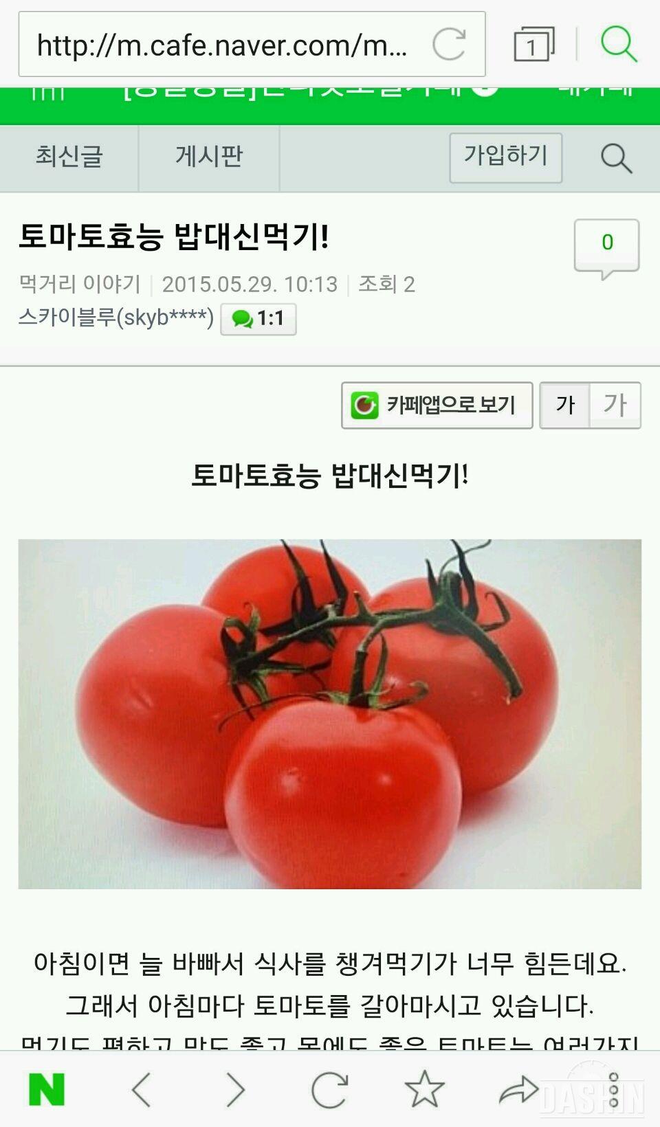 매일토마토 먹어요🍅🍅🍅🍅🍅