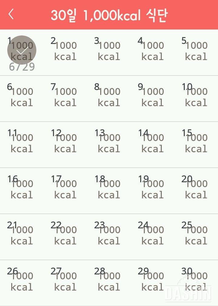 30일 1,000kcal 식단 1일차 성공!