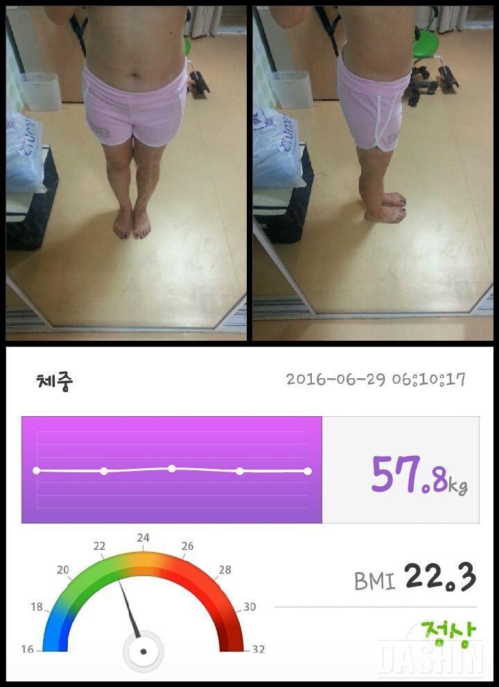 👙 세븐일렉체지방체중계 👙 최종 후기