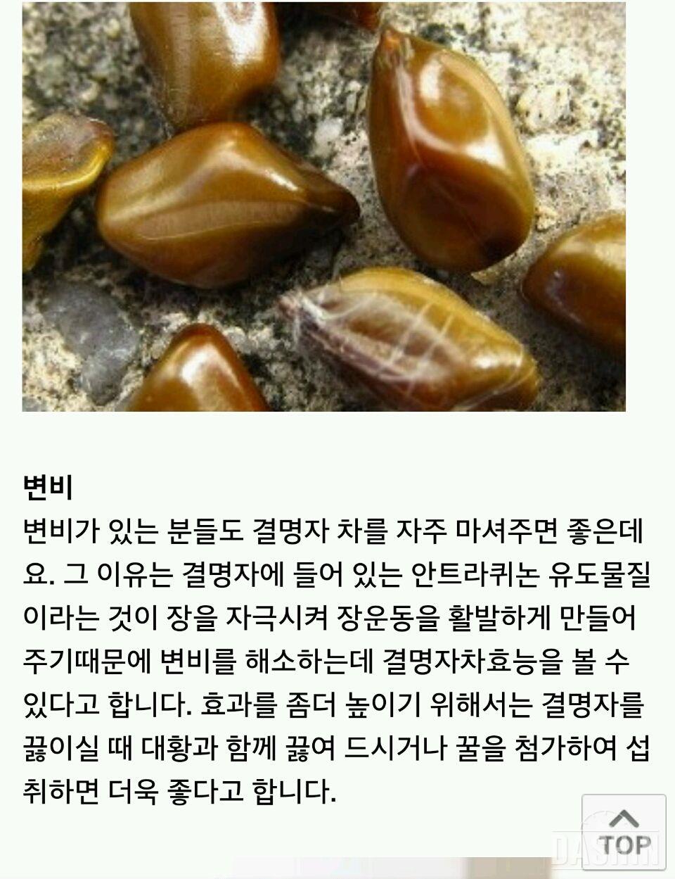 💗결명자차 효능과효과💗