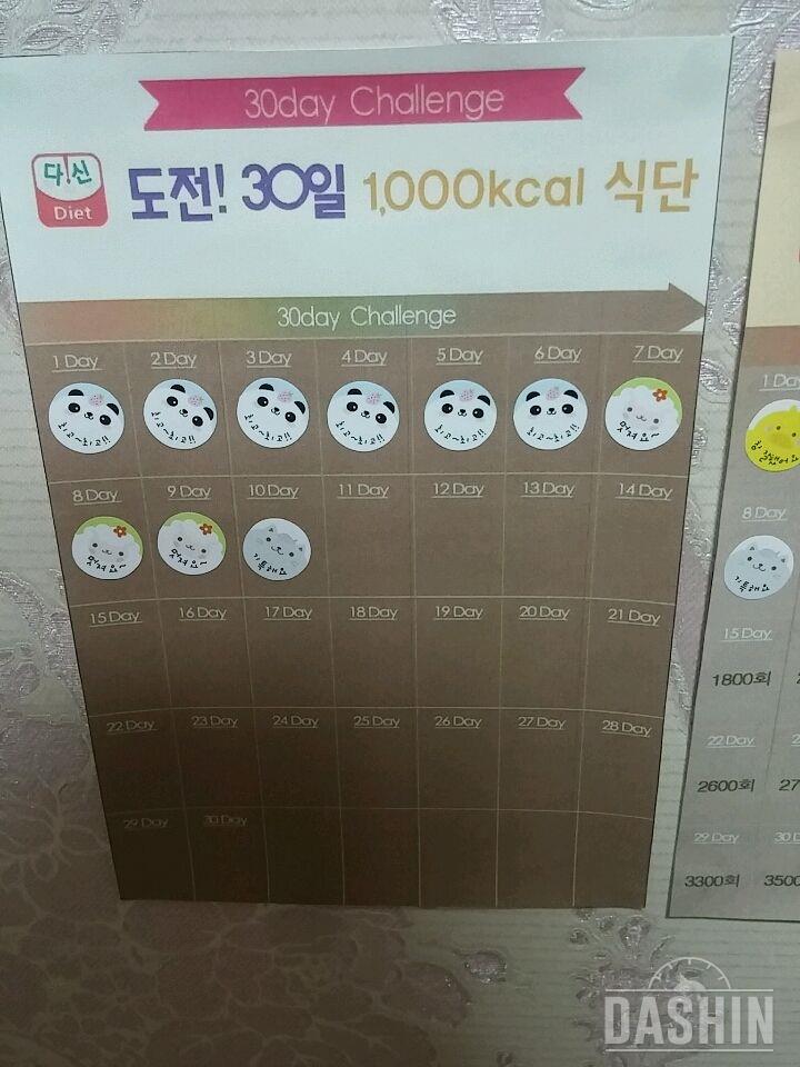 천칼로리 열흘째