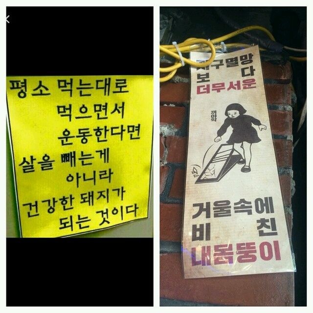 나에게 하고싶은말...(자극사진)