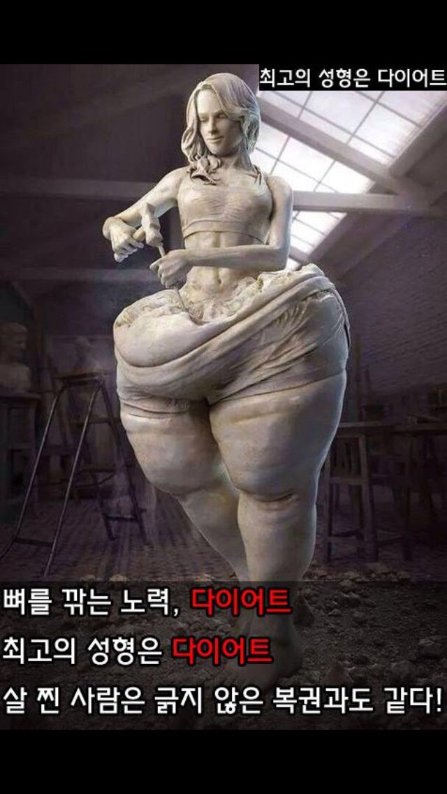 최고의 성형은 다이어트