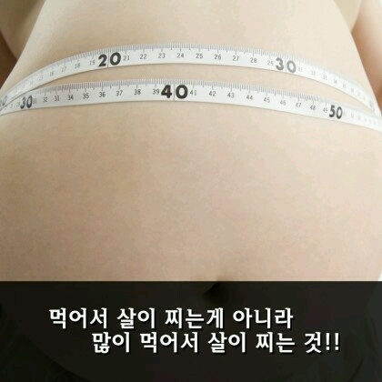 다이어트 명언들