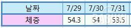 라이스훼밀리) 식단 및 운동(29일~31일)