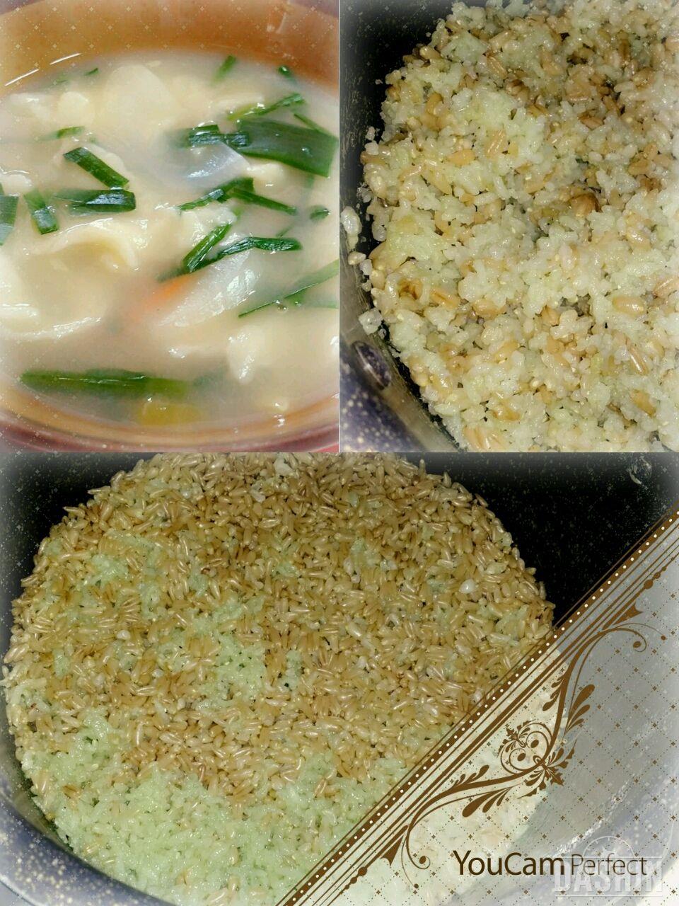 라이스훼밀리 기능성쌀 클로렐라현미밥