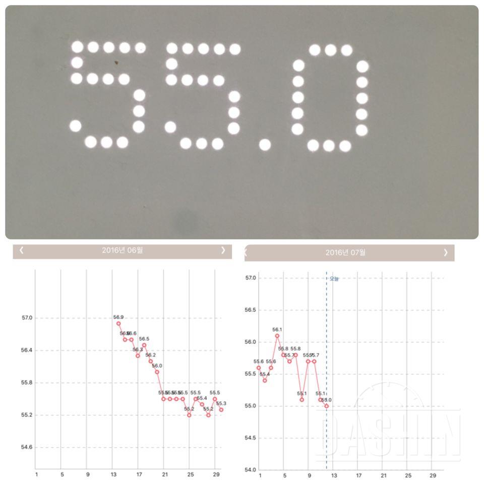 다신 5기 23일차,식단과 운동.몸무계체크