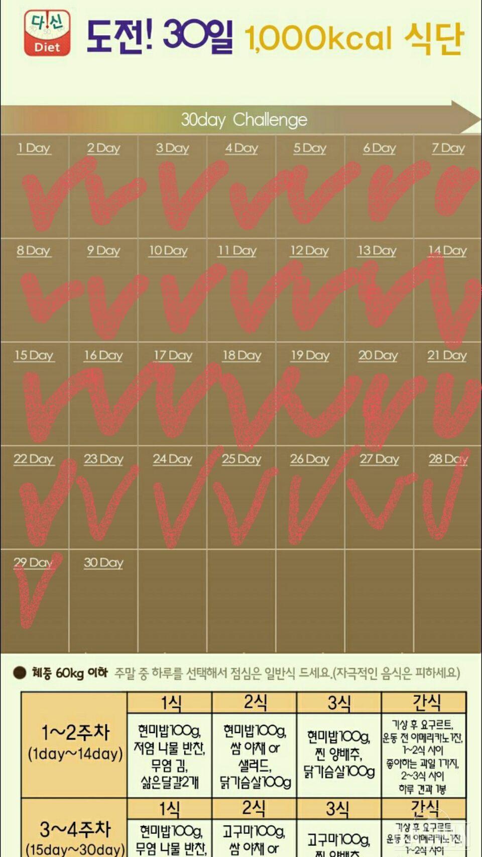 천칼로리 29일차