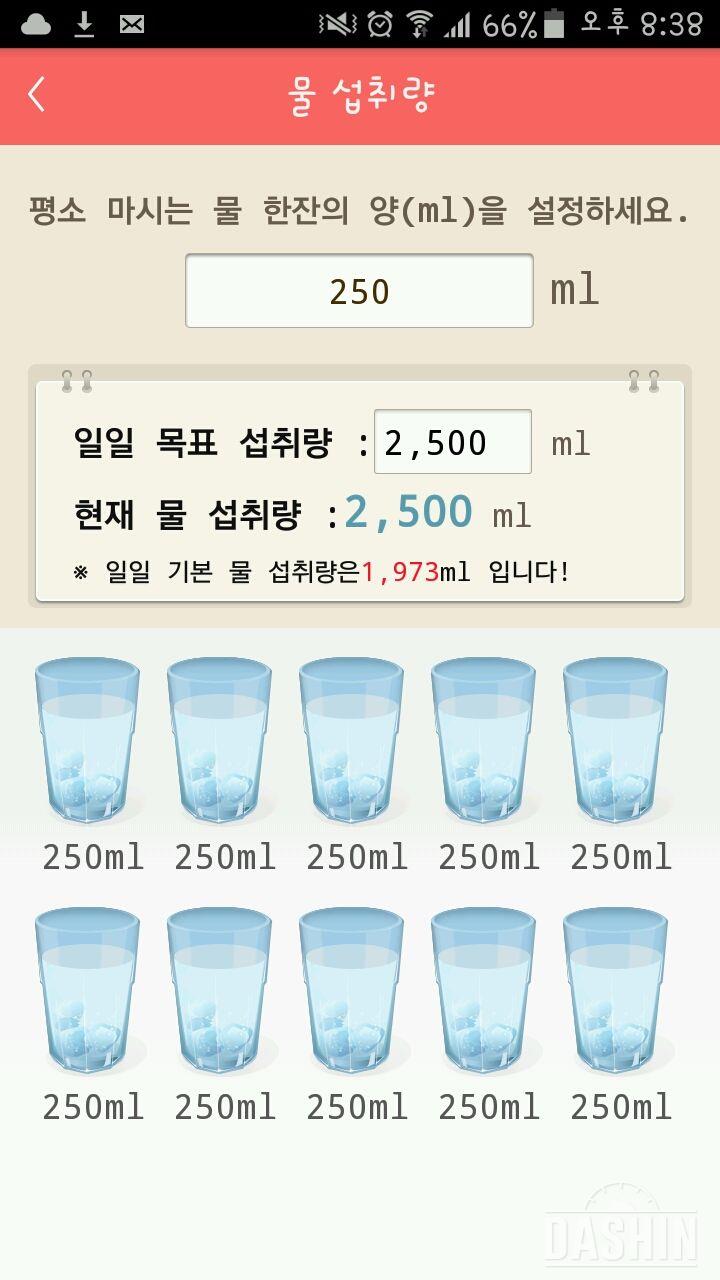 30일 하루 2L 물마시기 20일차 성공!