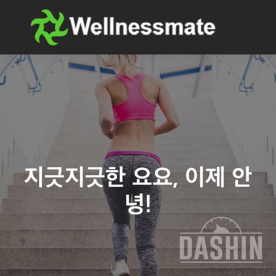 새로 출시 되는 다이어트 프로그램!!