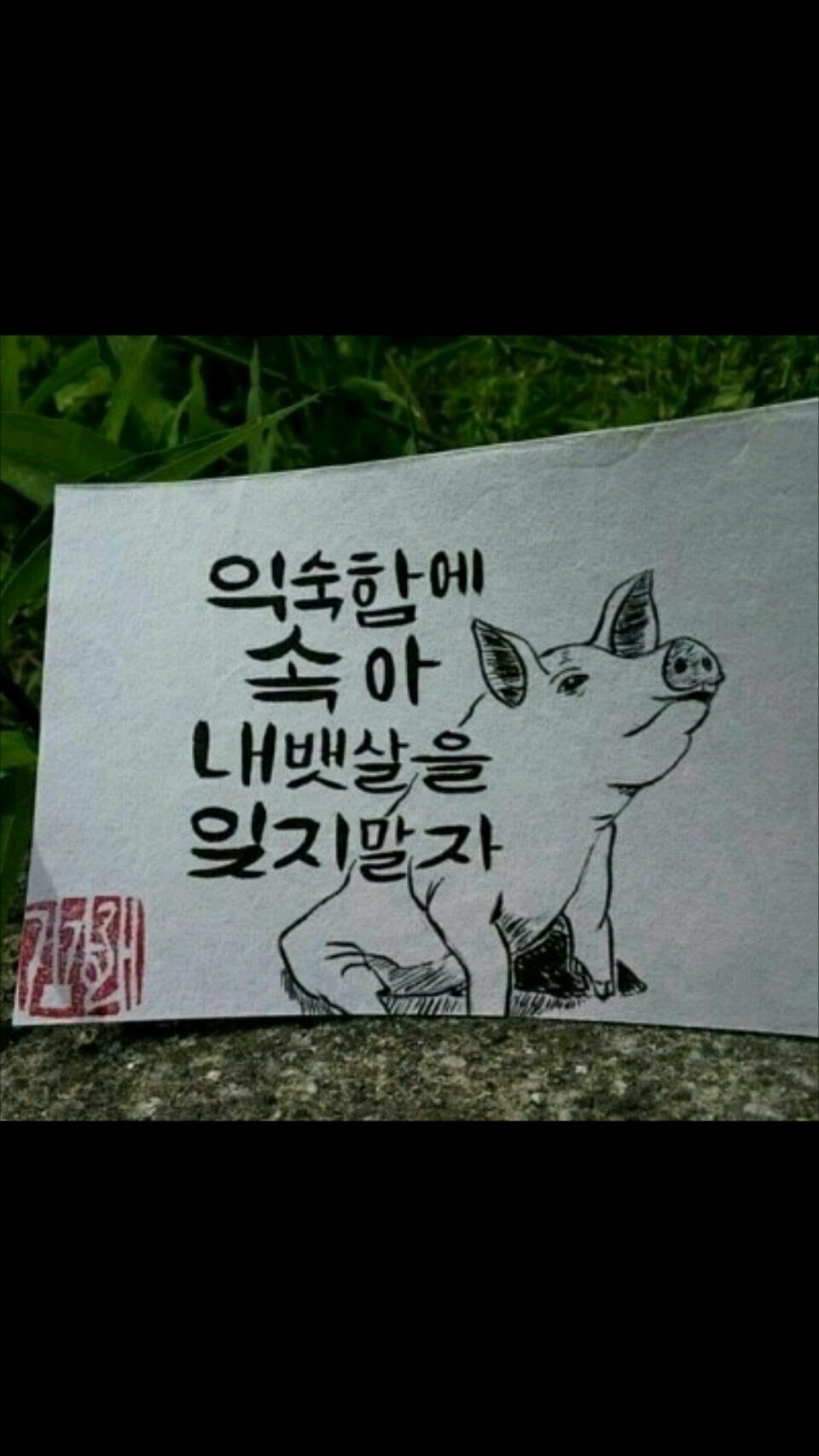 자극받은 사진