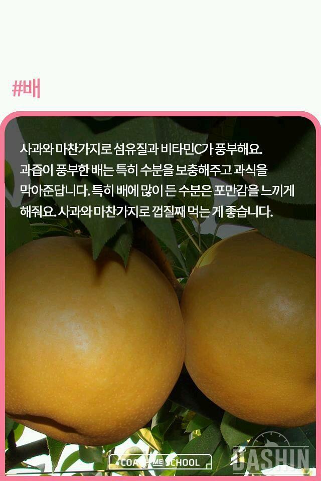 가을제천과일 배 배 배