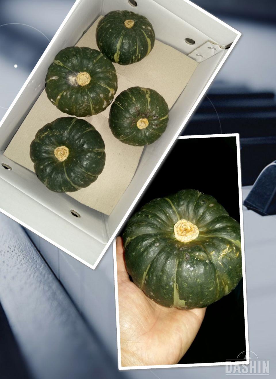 ㅎㅎ대박~~호박의선입견 싹~~