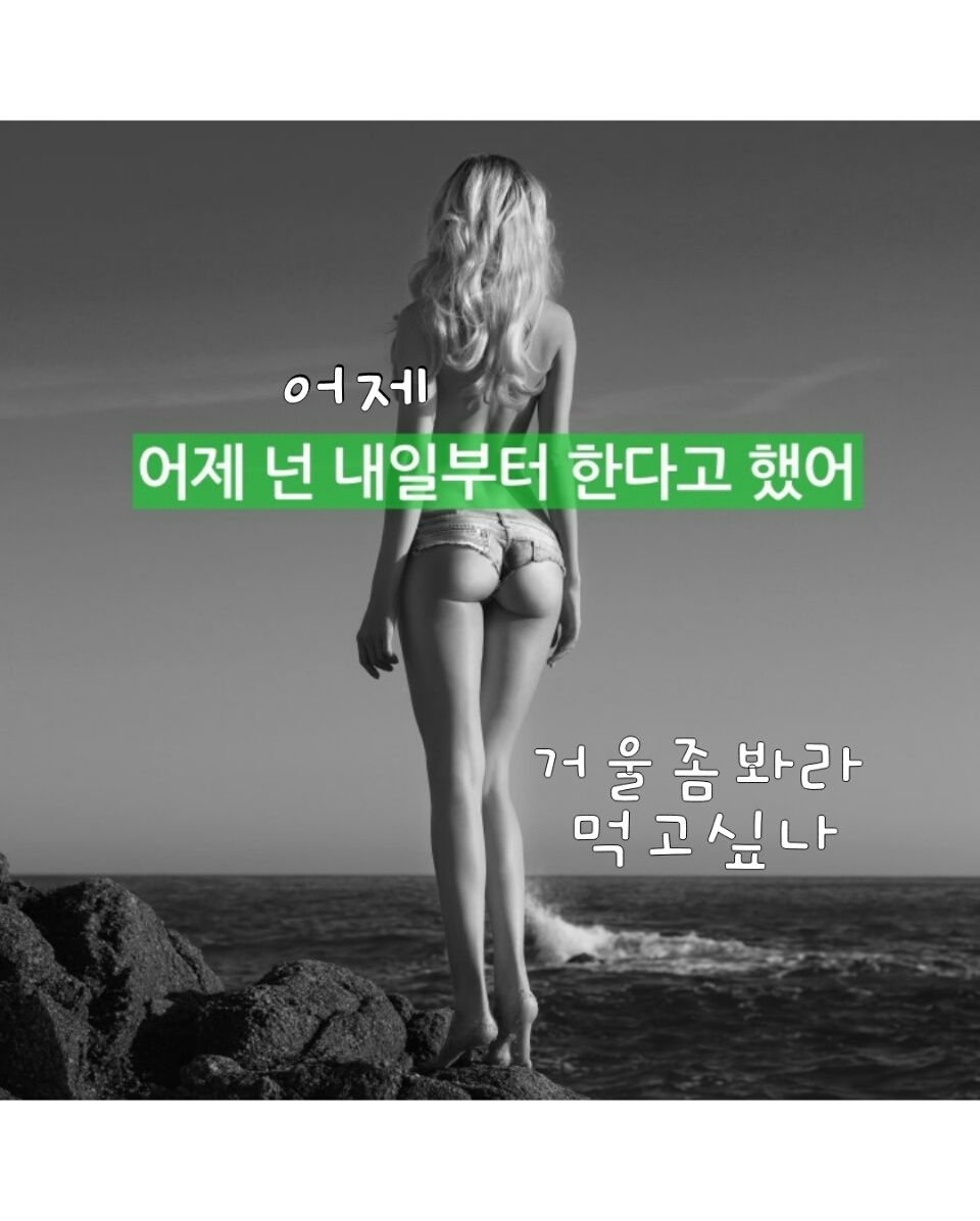 내 폰 배경사진