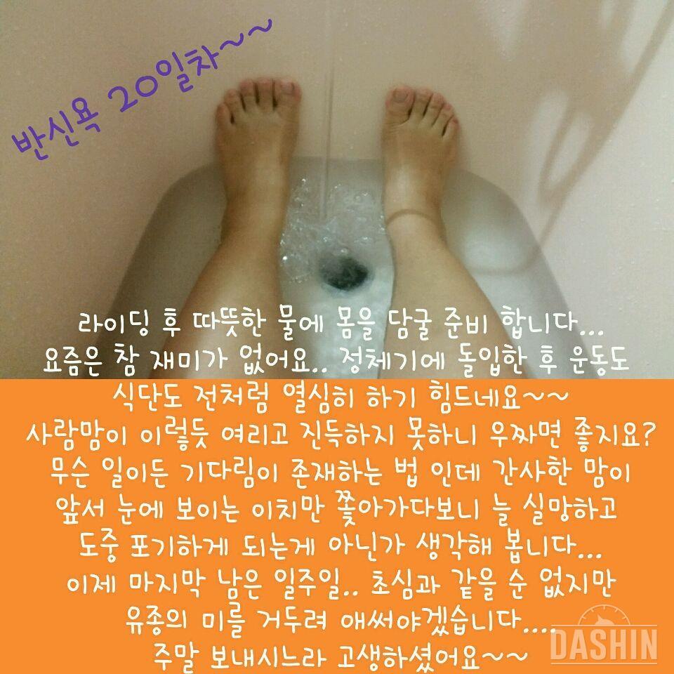 [도전 다신 3기] 😅 20일차