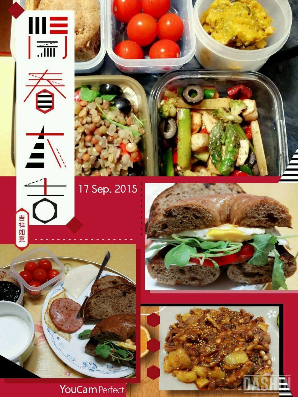 1단계 밀가루 14-16일차