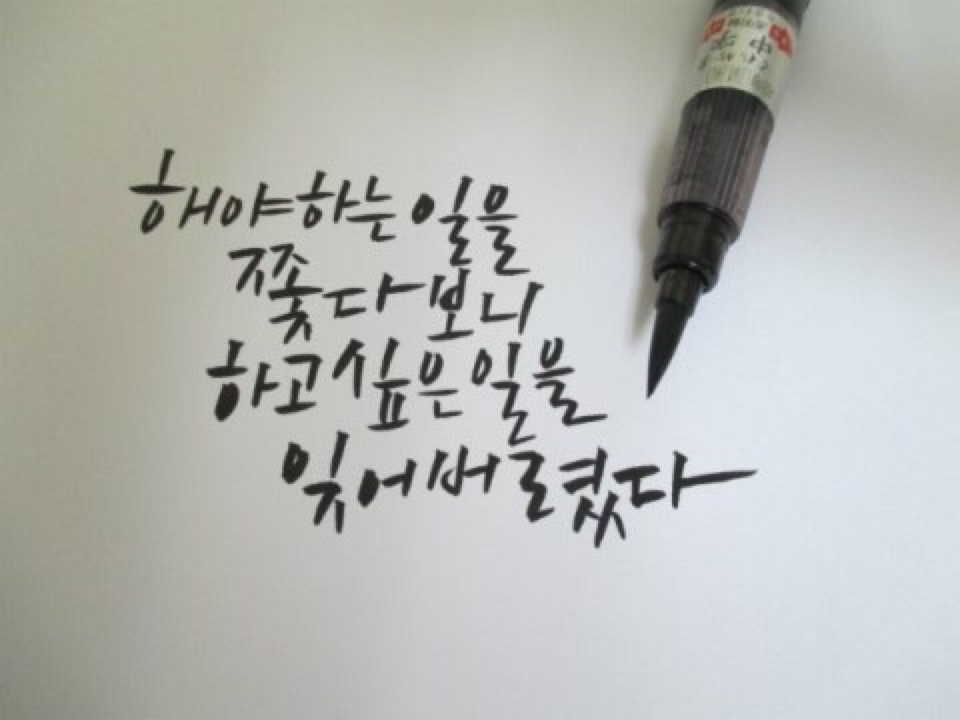 살빼서 다 할꺼다