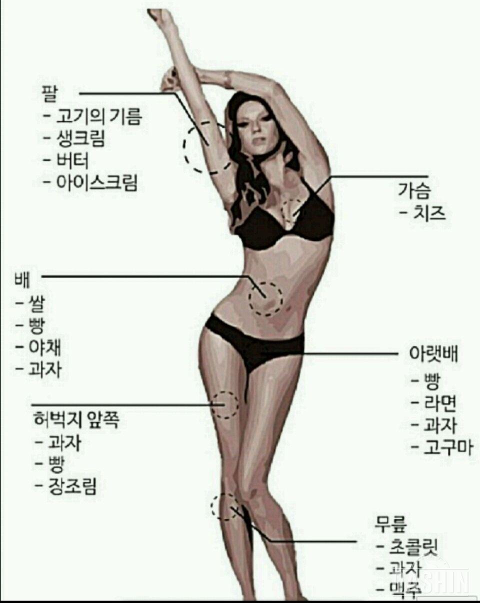 꿀팁? 부위별 찌는 음식