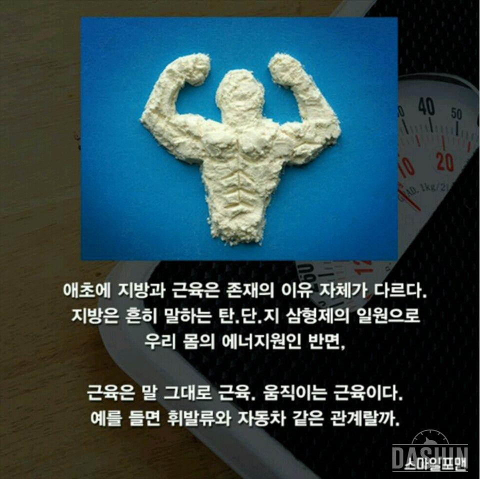 부위별 감량은 안된다네요 흠~~