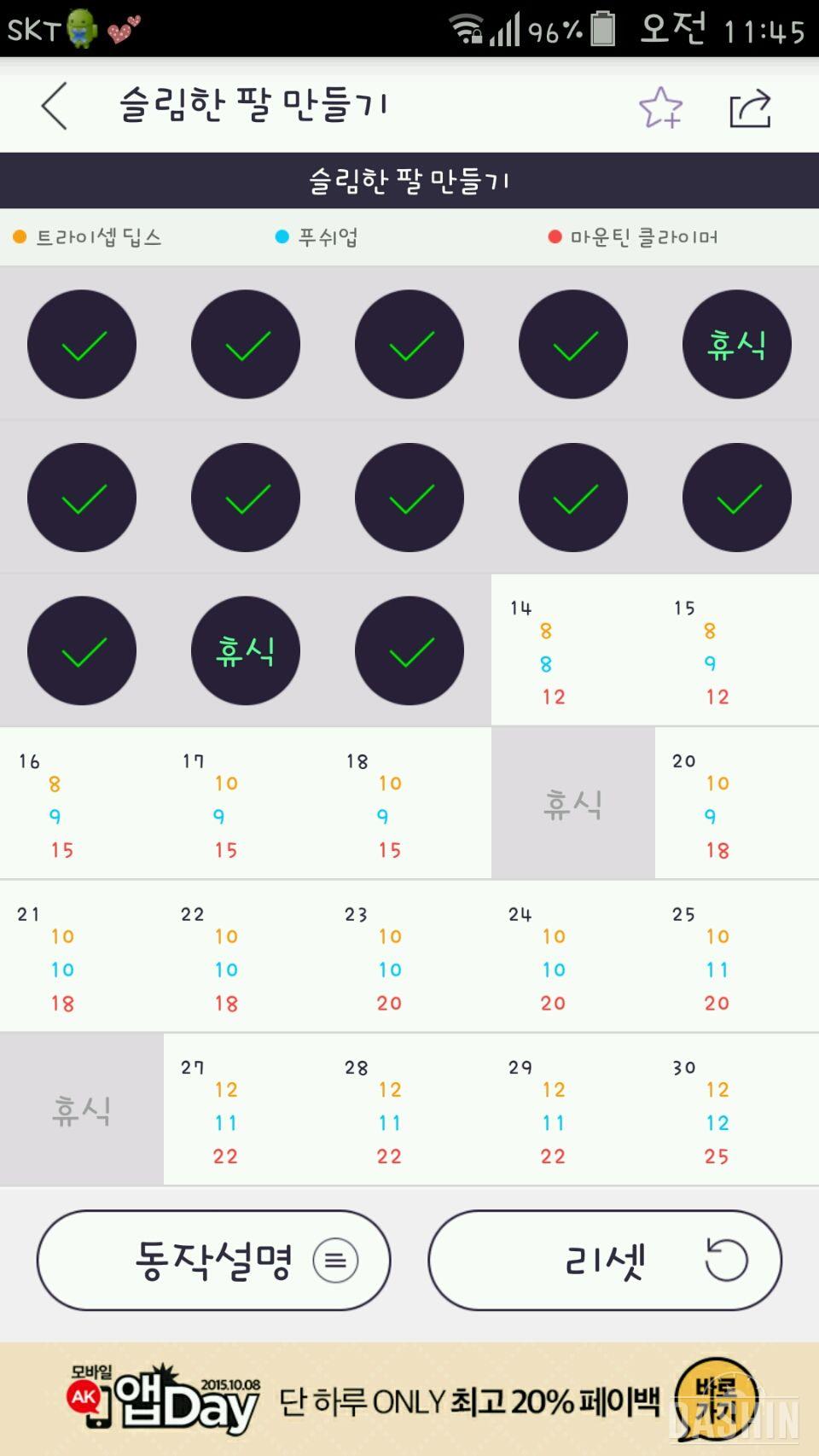 팔운동 13일차