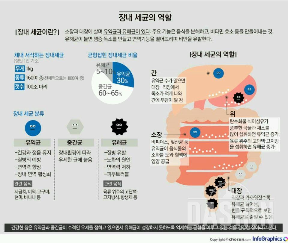 면역력과 독소 제거를 위한 장 건강