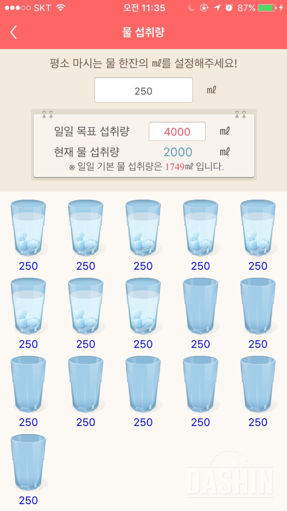 30일 하루 2L 물마시기 43일차 성공!