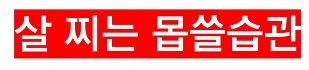 썸네일