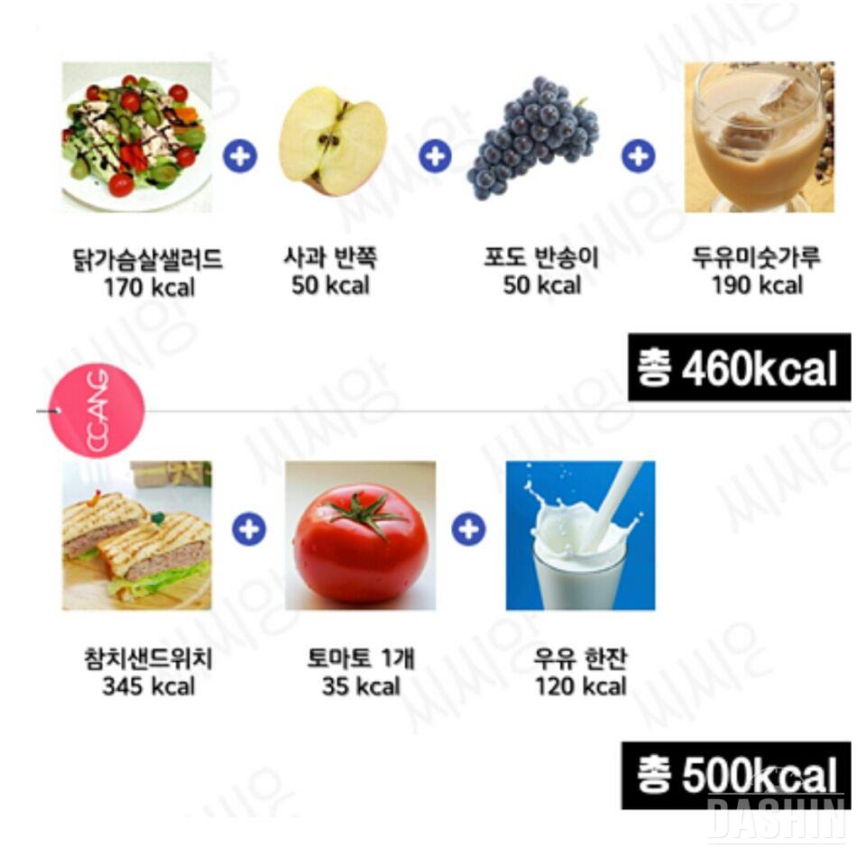 한 끼 500kcal 기준인 다이어트 식단