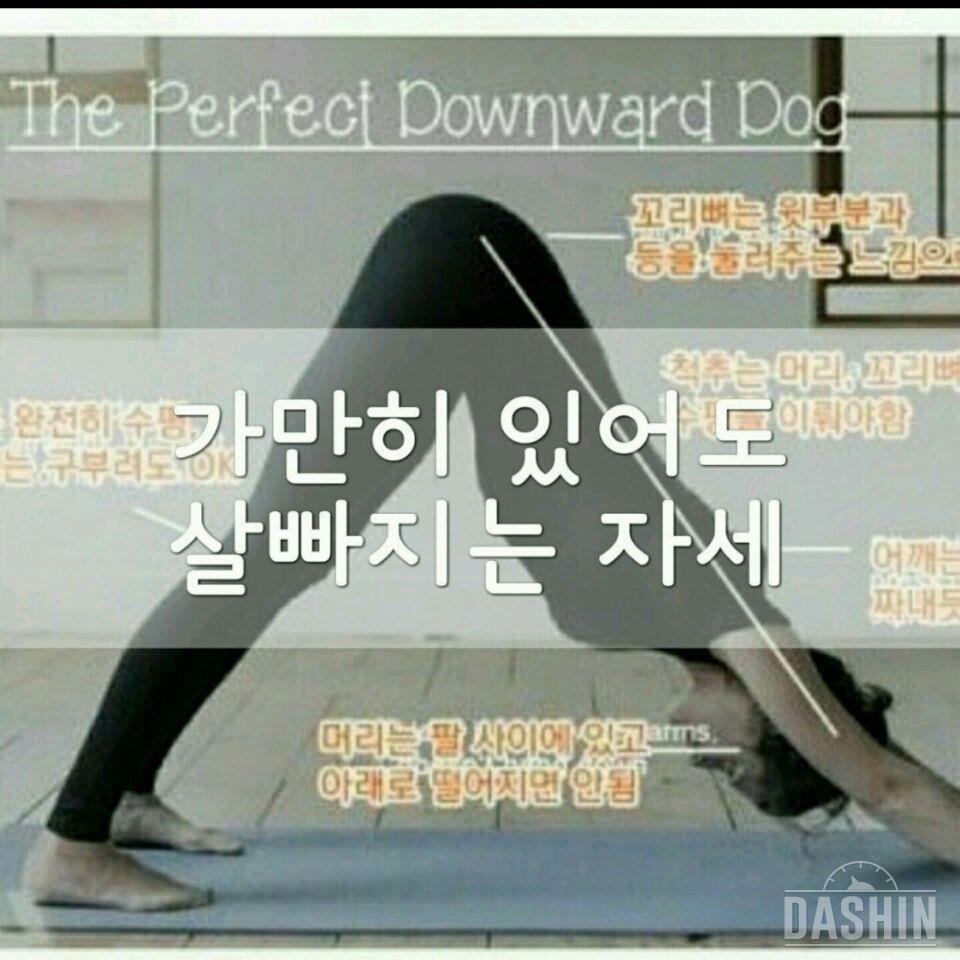 가만히 있어도 살빠지는 자세