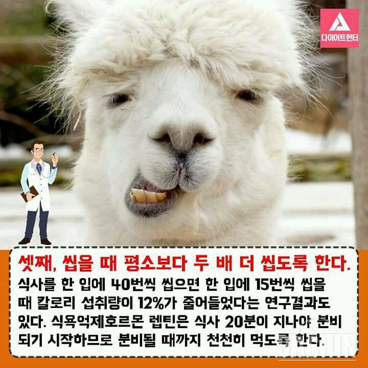 식욕을 줄이는 4가지 방법