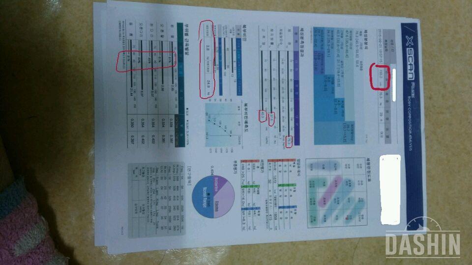 한달 열흘 간의 다이어트 성과