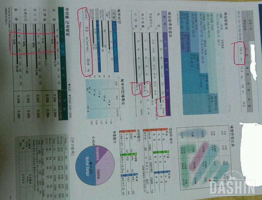 한달 열흘 간의 다이어트 성과