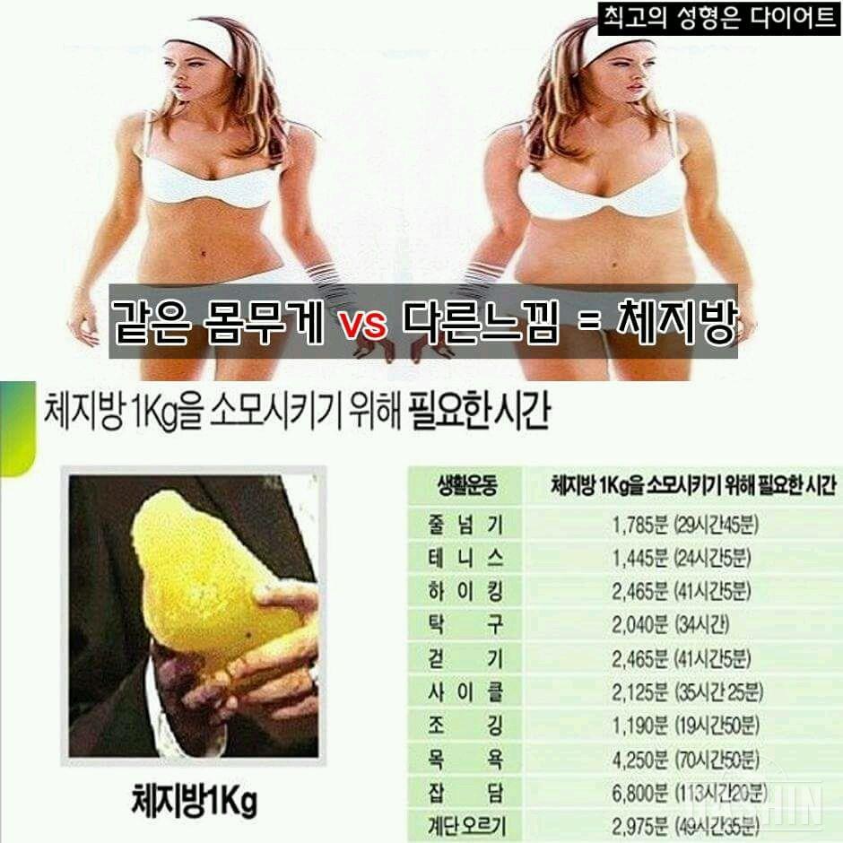 체지방 1키로 빼는데 필요한!