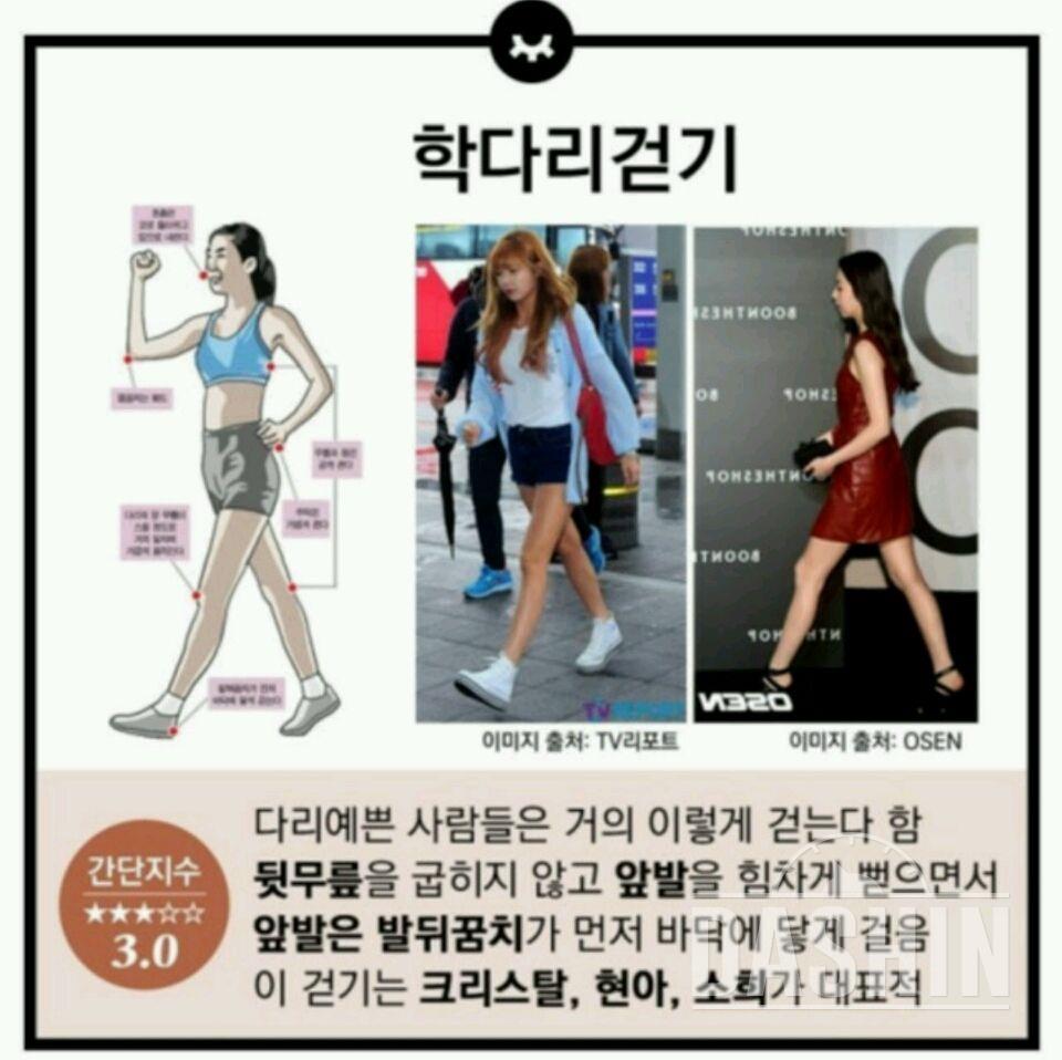 다리 알이 고민인 그대! 드르와 드르와