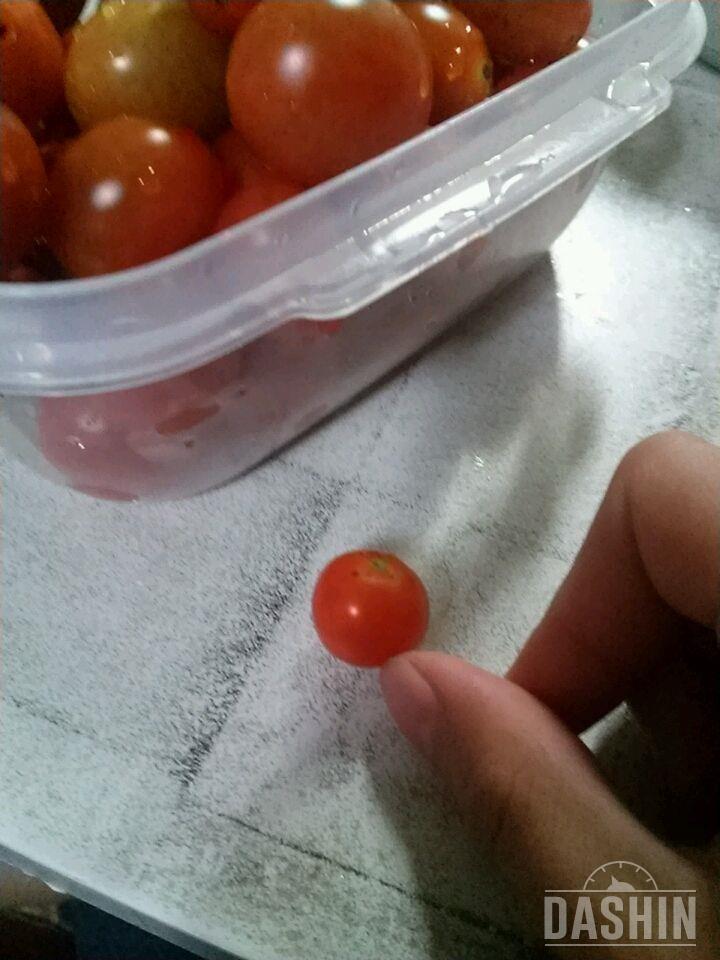 귀여운 아기 토마토